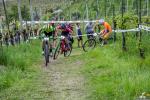 15° Cross Country Tra le Torri